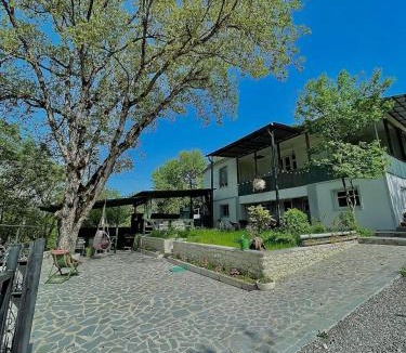 Ambrolauri Hotel | View Racha