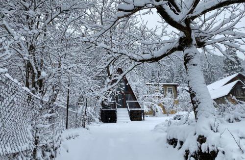 Akhali Ubani Ski Chalet | Wonderwood Borjomi Cottage