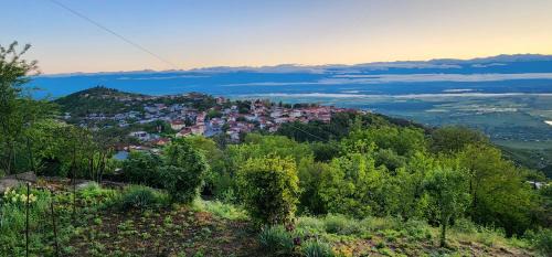 Sighnaghi House | Miriani - მირიანი