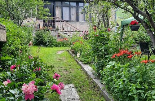 Stepantsminda House | GIO-NIKA