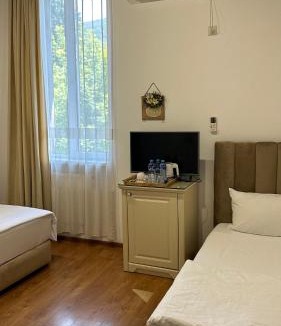 Lagodekhi Hotel | Wald Hotel N1 Building