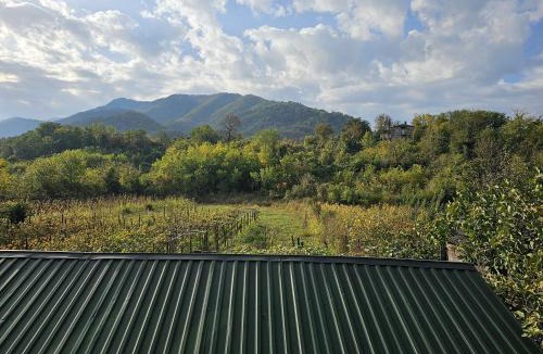 Sairme House | Guesthouse - Family Hotel