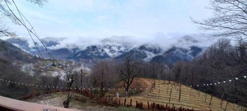 Khelvachauri Other | House in the clouds&სახლი ღრუბლებში