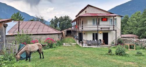 Mazeri House | Iason Guest House in Mazeri