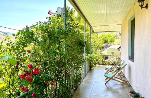 T'ba House | vardzia Guesthouse Mtkvari