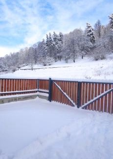 Bakuriani Villa | Villa Bayern in Bakuriani