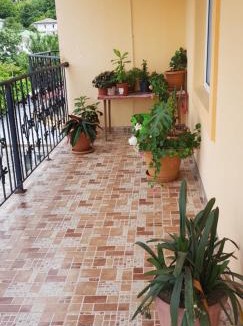 Sarpi Hotel | Yellow House - Vaja