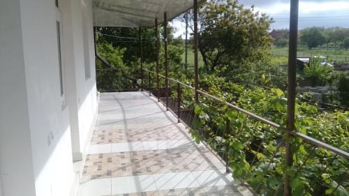 Udabno House | My home udabno