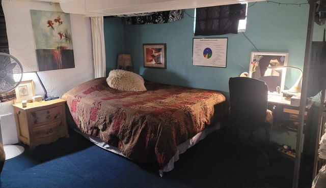 Artistic, clean Lg Basement Studio W/24hr Hottub & Lg private yard. City Oasis. in Englewood