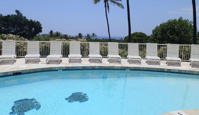 Wonderful Ocean View –Totally Renovated-On Golf Course in Kailua-Kona