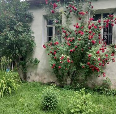 Guesthouse Bakho