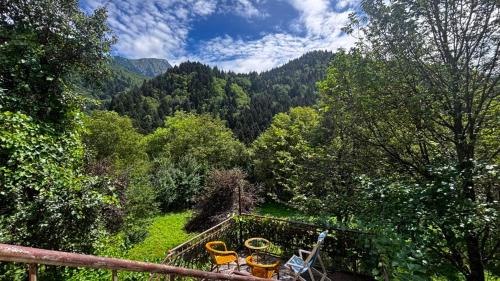 Hostel Hortenzia