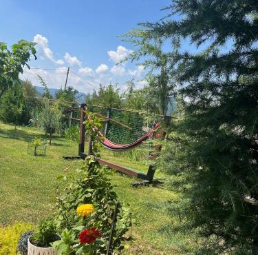 Chalet in Saguramo