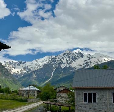Qedani