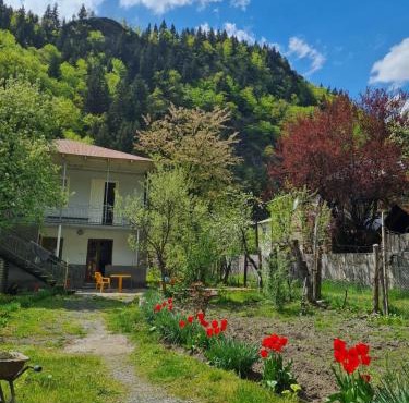 Lentexi Inn