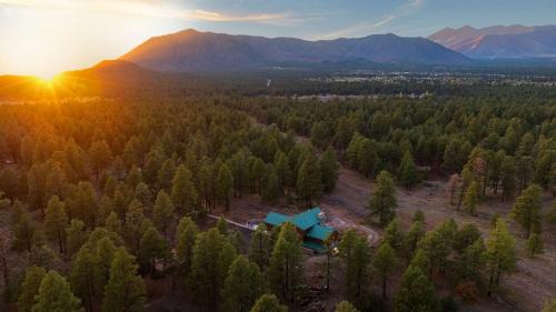 Sleeps 34 Indoor Pickleball Hot Tub & Sauna in Flagstaff
