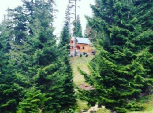 BBR House
