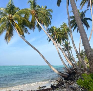 The Sandora Villa in Rinbudhoo