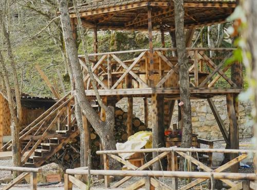 Edemi sataplia ედემის სათაფლია