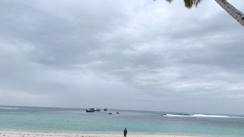 Mentawai Surf Taxi Service in Katiet