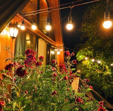 Tasia's Cottage