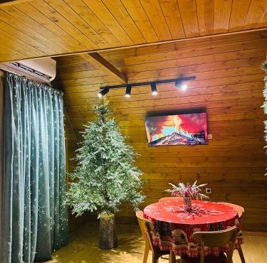 Mountain Shadow Cottage in Racha