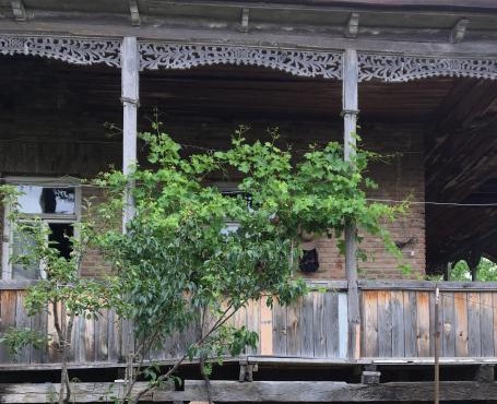 Gia's Home in Vazisubani